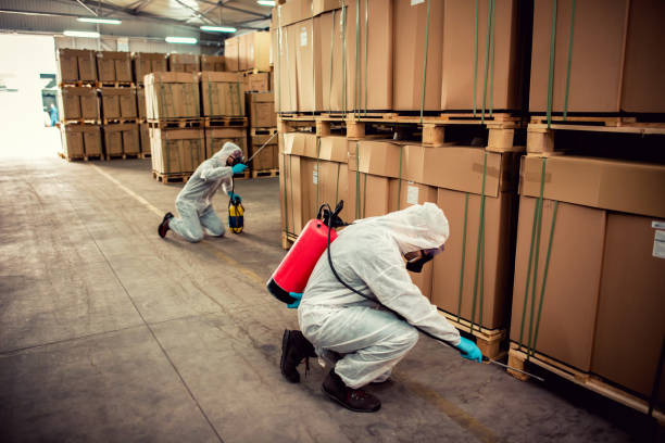 Best Flea Control Services  in Kuna, ID