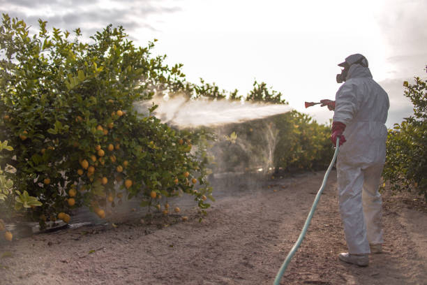 Best Residential Pest Control  in Kuna, ID