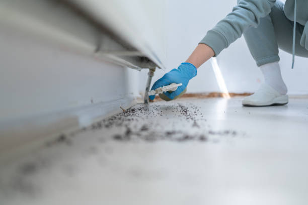 Best Pest Prevention Services  in Kuna, ID